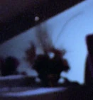 A small plant in the guest quarters (TNG: "Too Short A Season")