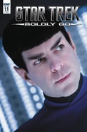 Star Trek Boldly Go, issue 11 RIA.jpg (115 KB) Retail incentive cover A