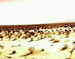 KolarusIIISurface2379