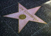 Roddenberry star