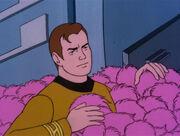 Kirk covered in tribbles