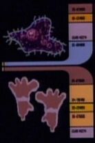 Footprint sample 2