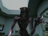 Species 8472 in Voyager's sick bay.jpg (94 KB) The individual makes itself appear in Voyager's sick bay