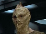 Unnamed Dream Aliens