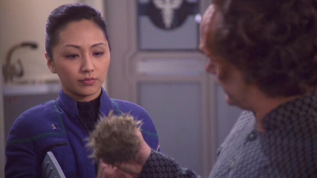Phlox mit Tribble.jpg