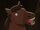 Atlas (horse)