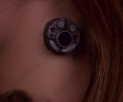 The implant portion of a dataport