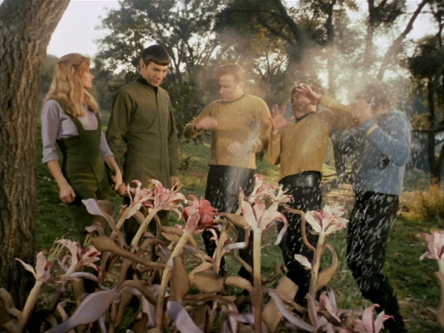 Spore | Memory Alpha | Fandom