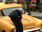 Sisko hit by a cab.jpg