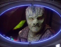 Tosk (DS9: "Captive Pursuit")