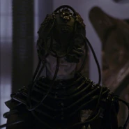 Borg drone 8, 2366.jpg (438 KB) Played by Lynn Salvatori