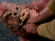 … und in Gestalt eines menschenähnlichen Affens.