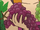 Red grape