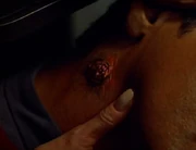 Macrocosm virus neck