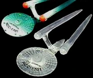 RomandoS11701-warp.jpg (47 KB) "Secret" warping USS Enterprise (TOS)