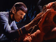 Spock and Horta mind meld