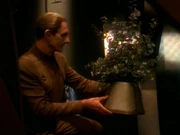 Der neue Verwendungszweck für Odos Eimer.