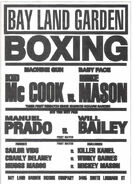 Boxing Poster from Past Tense, Part II