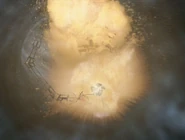 Interspatial manifold is destroyed.jpg (92 KB) Explosion of a Borg interspatial manifold