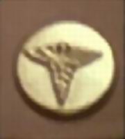 USAAF medical collar pin