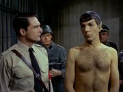 Eneg and Spock