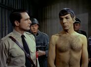 Eneg and Spock.jpg (117 KB) The Vulcan male chest