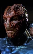 Young Hirogen VOY: "The Killing Game", "The Killing Game, Part II"