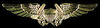 Navy Flight Officer Badge