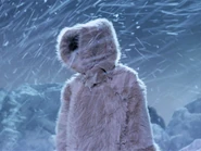 Zarabeth in a fur coat.jpg (338 KB) A fur coat worn on Sarpeidon