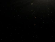 Bio-ship fleet chases Voyager