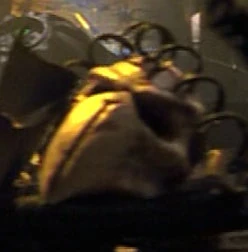 A skull on a Hirogen ship