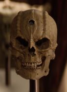 Dukat's skull.jpg (22 KB) Cardassian