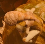 Crepusculan 2.jpg (27 KB) CGI-created