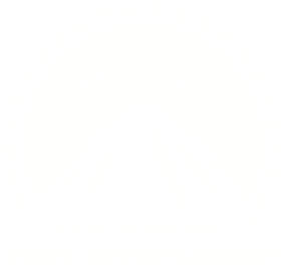 Paramount Home Entertainment Memory Alpha Fandom