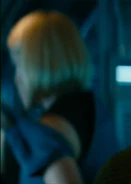 Sleeveless version worn with the skirt