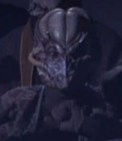 Played by an unknown actor