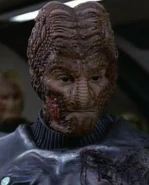 New Alpha Hirogen VOY: "Flesh and Blood"
