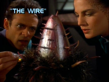 2x22 The Wire title card