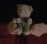 Deanna's teddy bear.jpg (3 KB) Deanna Troi's teddy bear