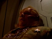 Neelix wird von Makroviren verletzt