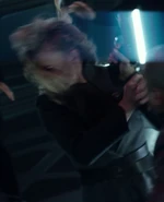 Katelyn Brooke, Assimilation.jpg (126 KB) Stunt double for Jeri Ryan PIC: "Assimilation" (uncredited)