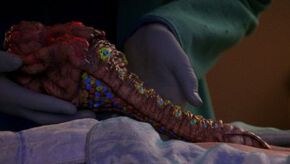 Odan, a Trill symbiont in 2367