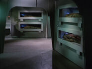 SS Botany Bay interior.jpg (299 KB) Interior, with life support canisters