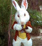 Le Lapin blanc (TOS: "Shore Leave")