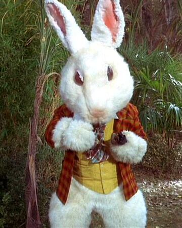 White Rabbit Memory Alpha Fandom