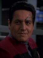 Chakotay, ein männlicher Mensch indianischen Typs