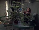 Janeway and a large plant