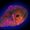 Space amoeba