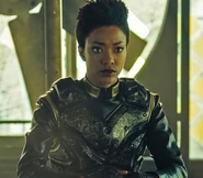 Michael wearing a mirror tactical vest.jpg (70 KB) Tactical gear