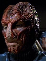 Junger Hirogen